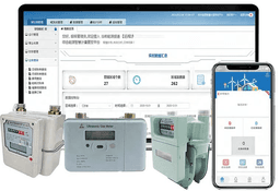 The Construction Principle of Smart Gas Meter